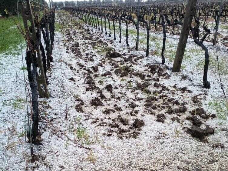 Maltempo nel Lazio: la grandine distrugge frutta e ortaggi