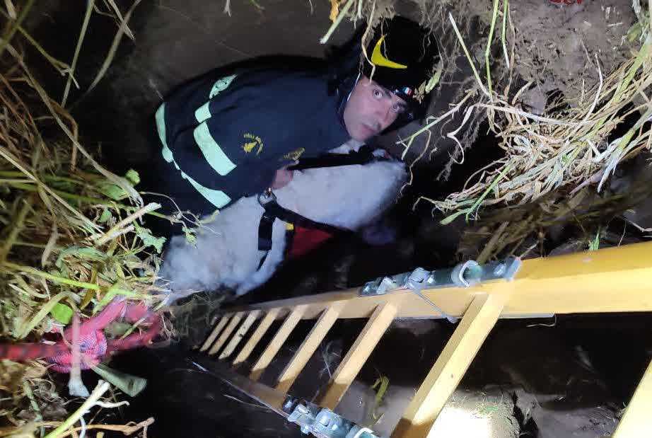 68d23396-2f00-49a5-85c9-3cf79138ec46