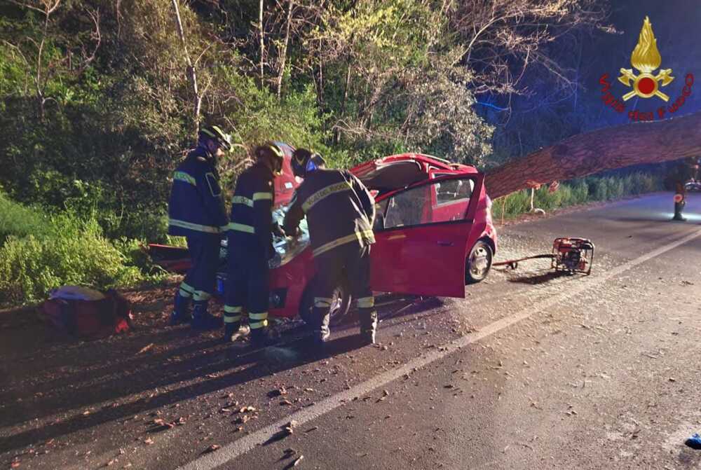 incidente castel gandolfo albero