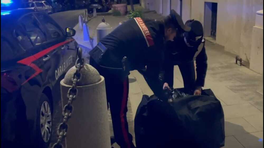PARIOLI – I bulbi di papavero da oppio sequestrati dai Carabinieri (3)