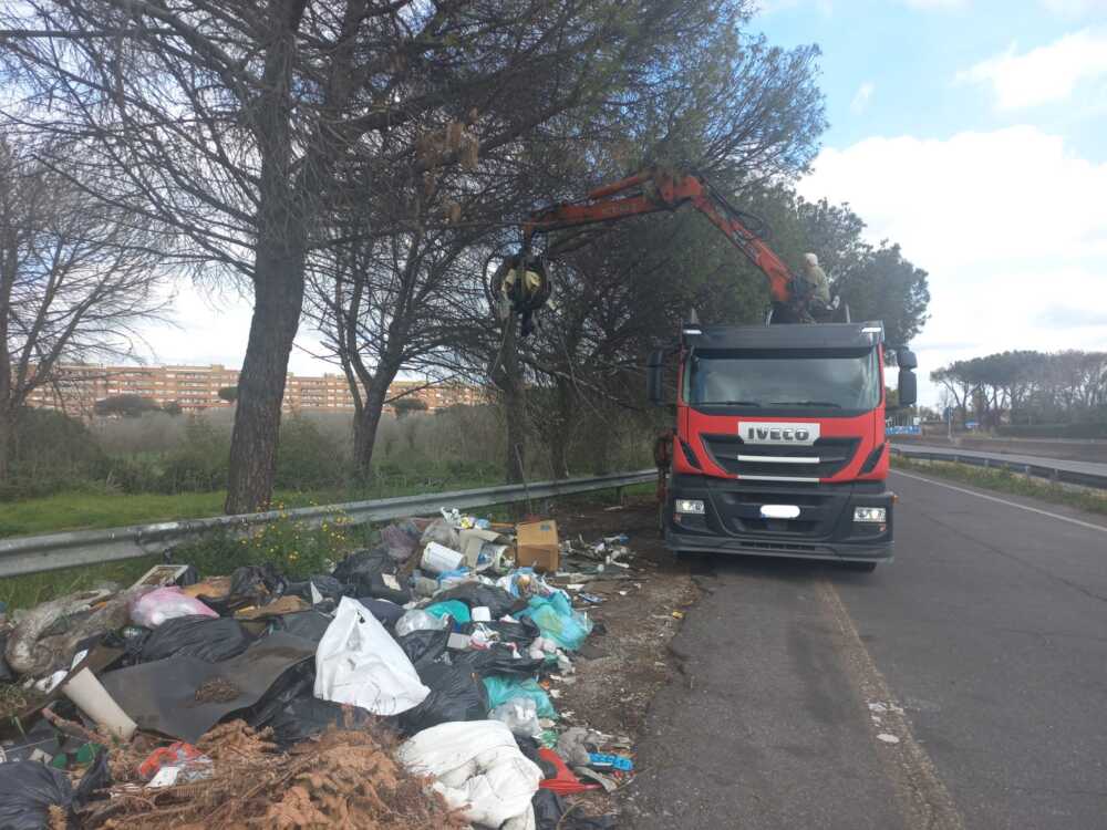 Spinaceto ama pulizia