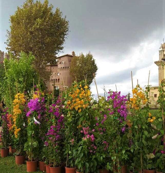 Al Castello di Santa Severa nel weekend torna “Verde in scena”