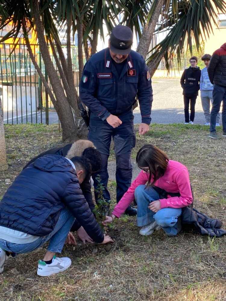 civitavecchia forestali carabinieri amico api