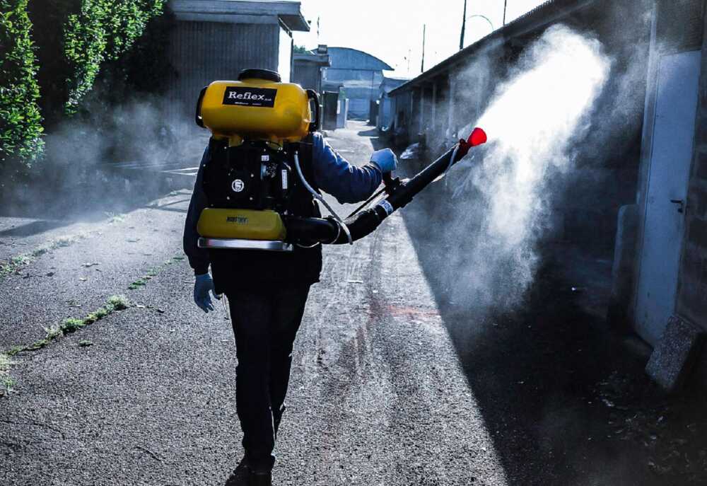 disinfestazione zanzare disinfestazione zanzare