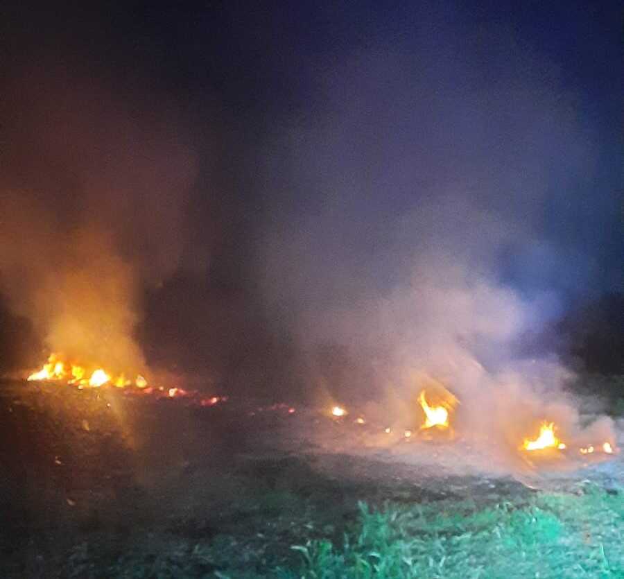 incendi aurelia cerveteri prociv incendi aurelia cerveteri prociv