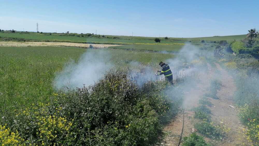incendi furbara sasso cerveteri prociv incendi furbara sasso cerveteri prociv