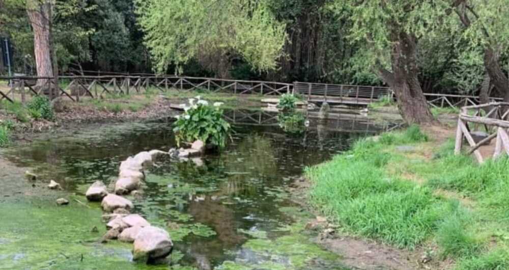 laghetto parco acquedotti laghetto parco acquedotti