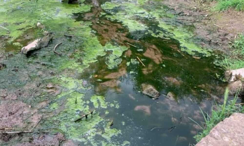 laghetto parco acquedotti laghetto parco acquedotti