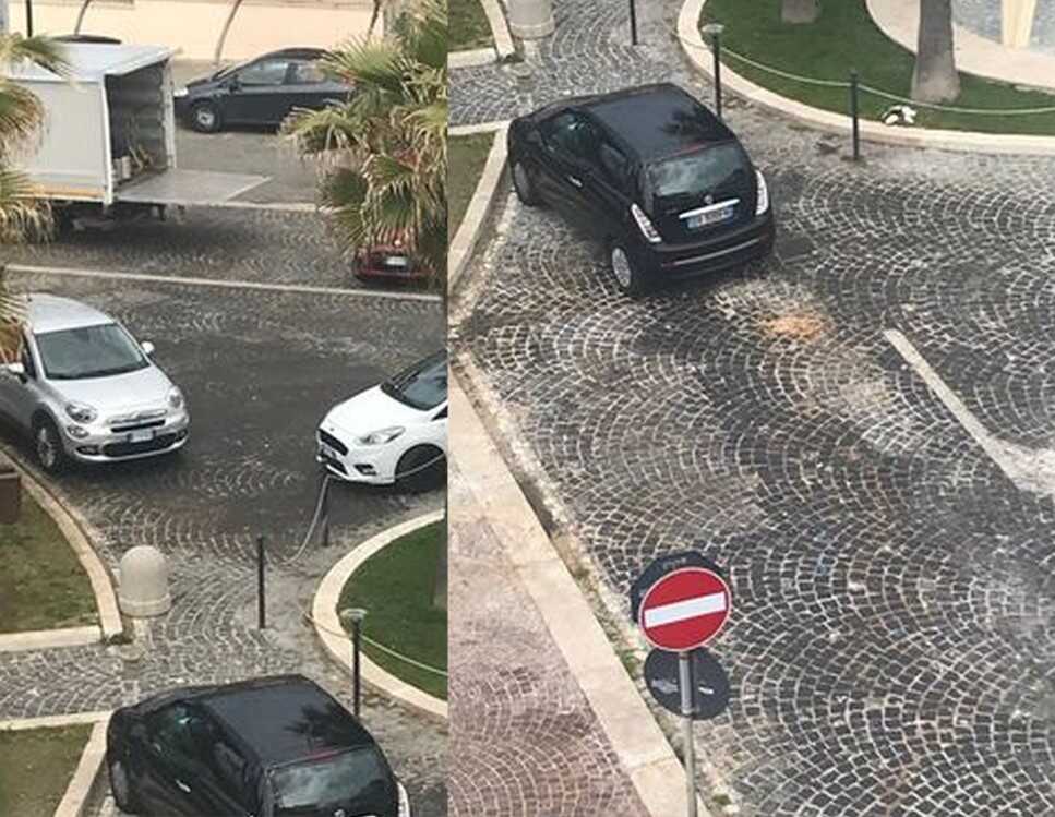 olio a terra sagra carciofo ladispoli 3