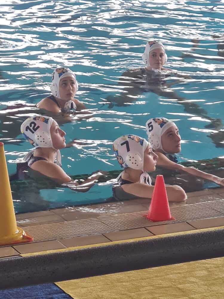 pallanuoto civitavecchia pallanuoto civitavecchia