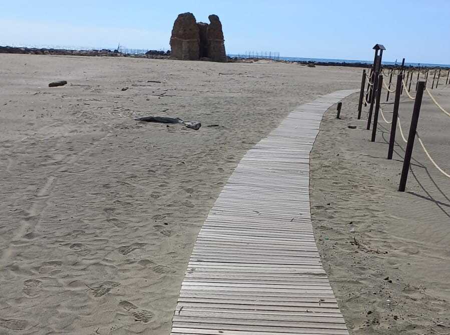 palude spiaggia torre flavia palude spiaggia torre flavia