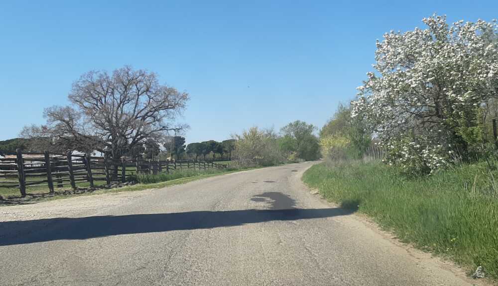 Pronti per la Festa della Merca: a Tarquinia sistemata la provinciale della Roccaccia