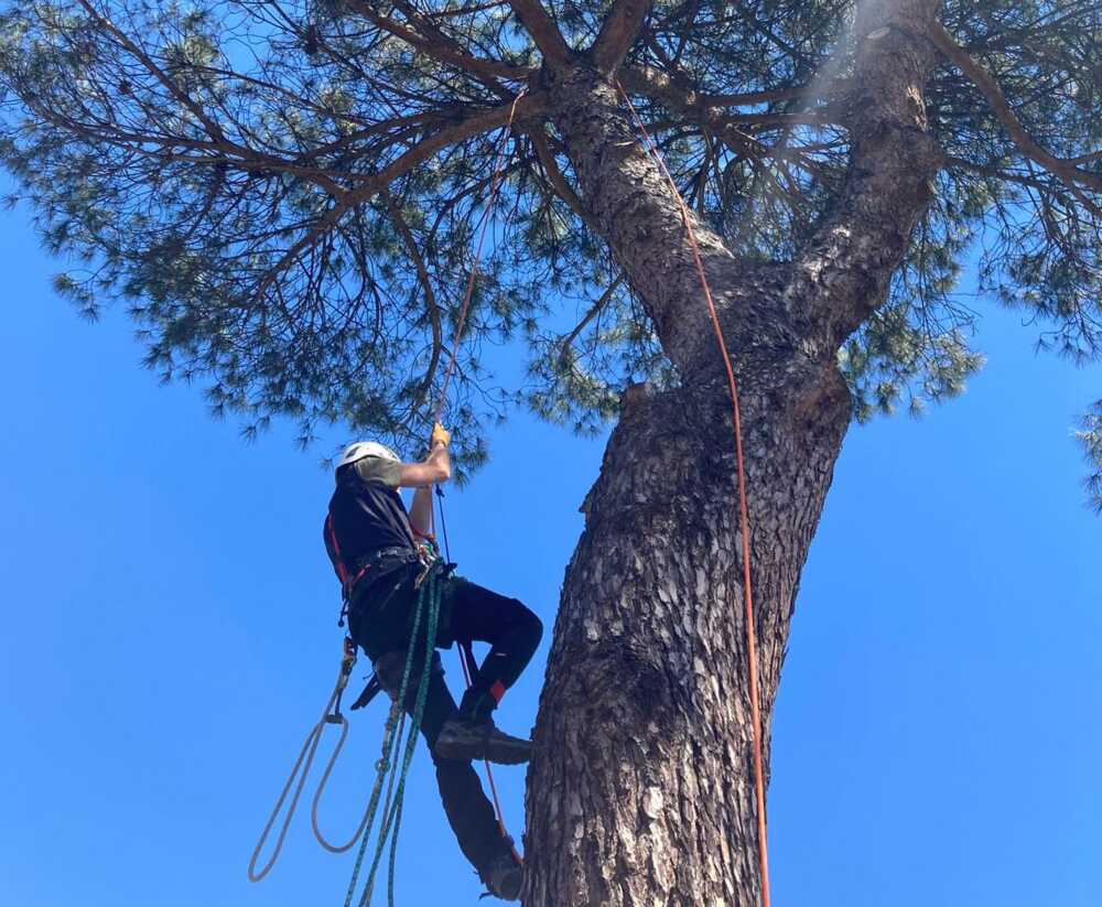 INTERVENTO PINI VIA COLOMBO2