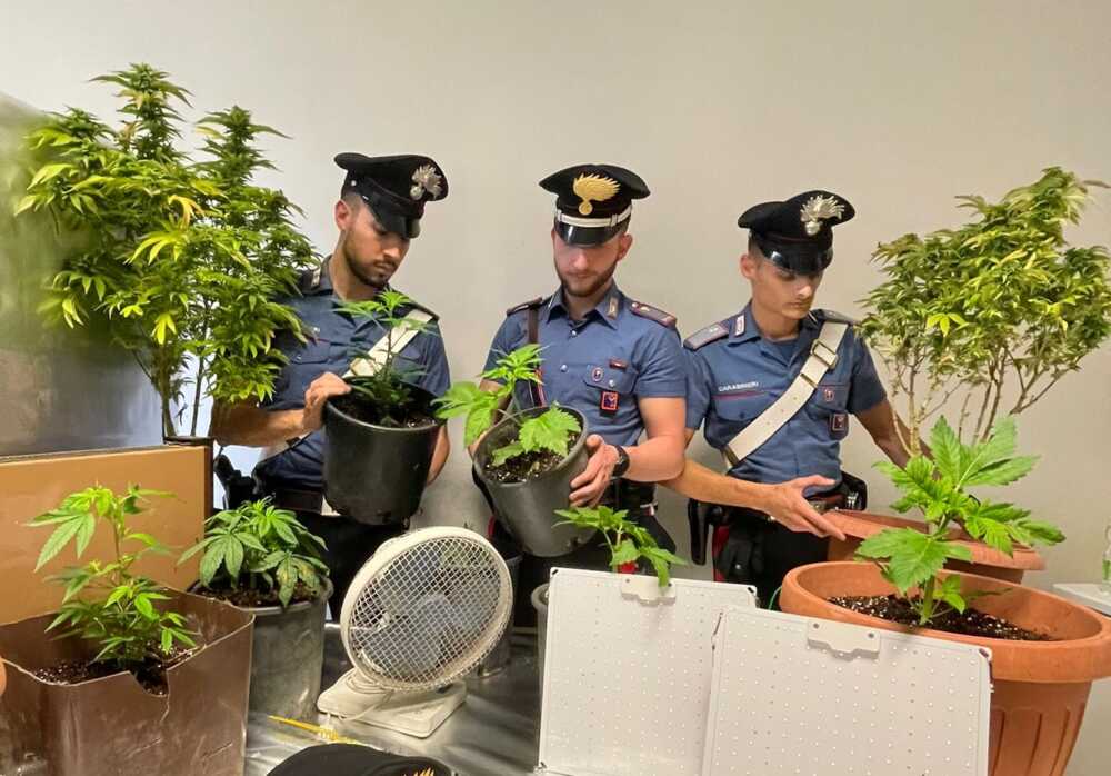 PROVINCIALE – Le piante e il materiale sequestrati dai Carabinieri della Compagnia Roma Montesacro (3)