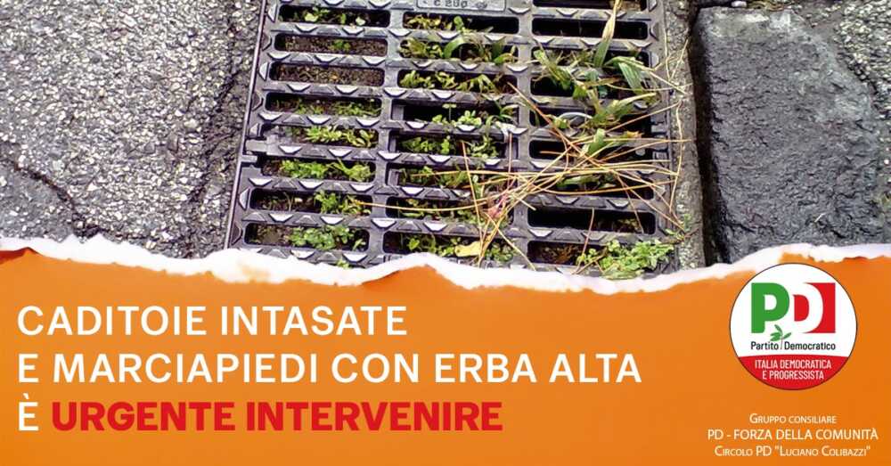 caditoie pd ladispoli caditoie pd ladispoli