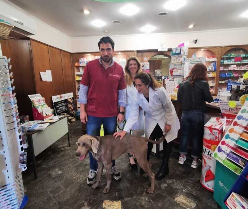 Successo a Civitavecchia per la giornata informativa sulla leishmaniosi alla farmacia Calamatta