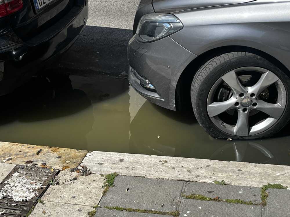 fogna otturata ladispoli fogna otturata ladispoli