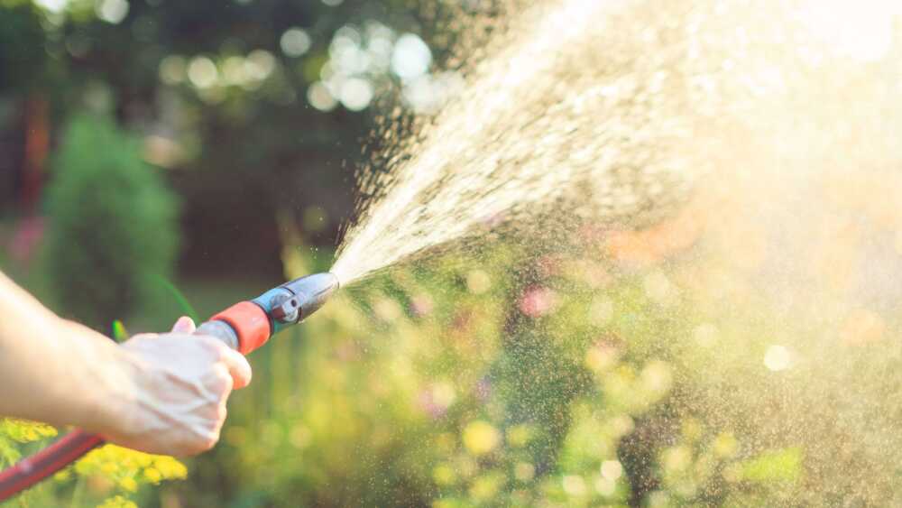 irrigazione acqua potabile vietato a cerveteri irrigazione acqua potabile vietato a cerveteri