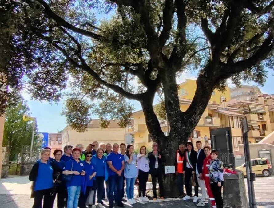 Il Comune di Tolfa dedica alle cure palliative la quercia secolare di piazza Vittorio Veneto