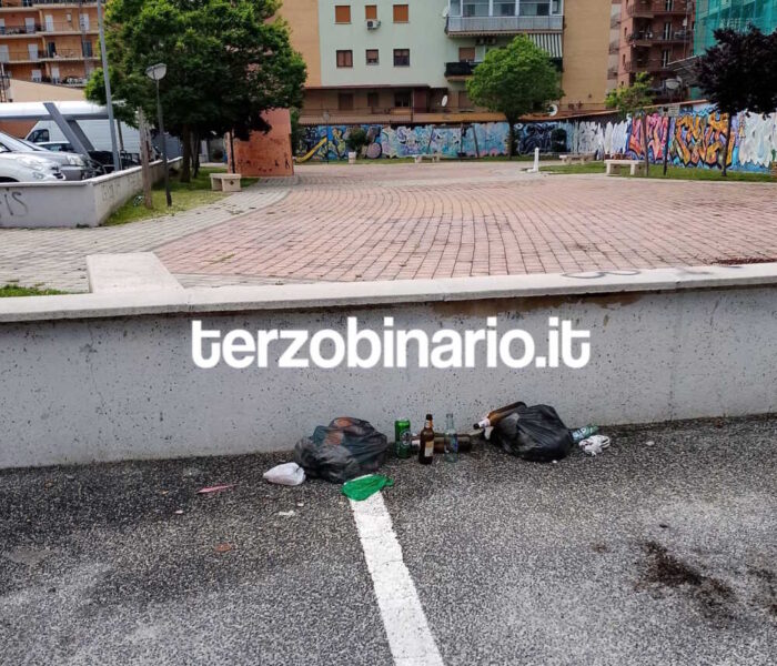 rifiuti-via-palo-laziale-ladispoli-1