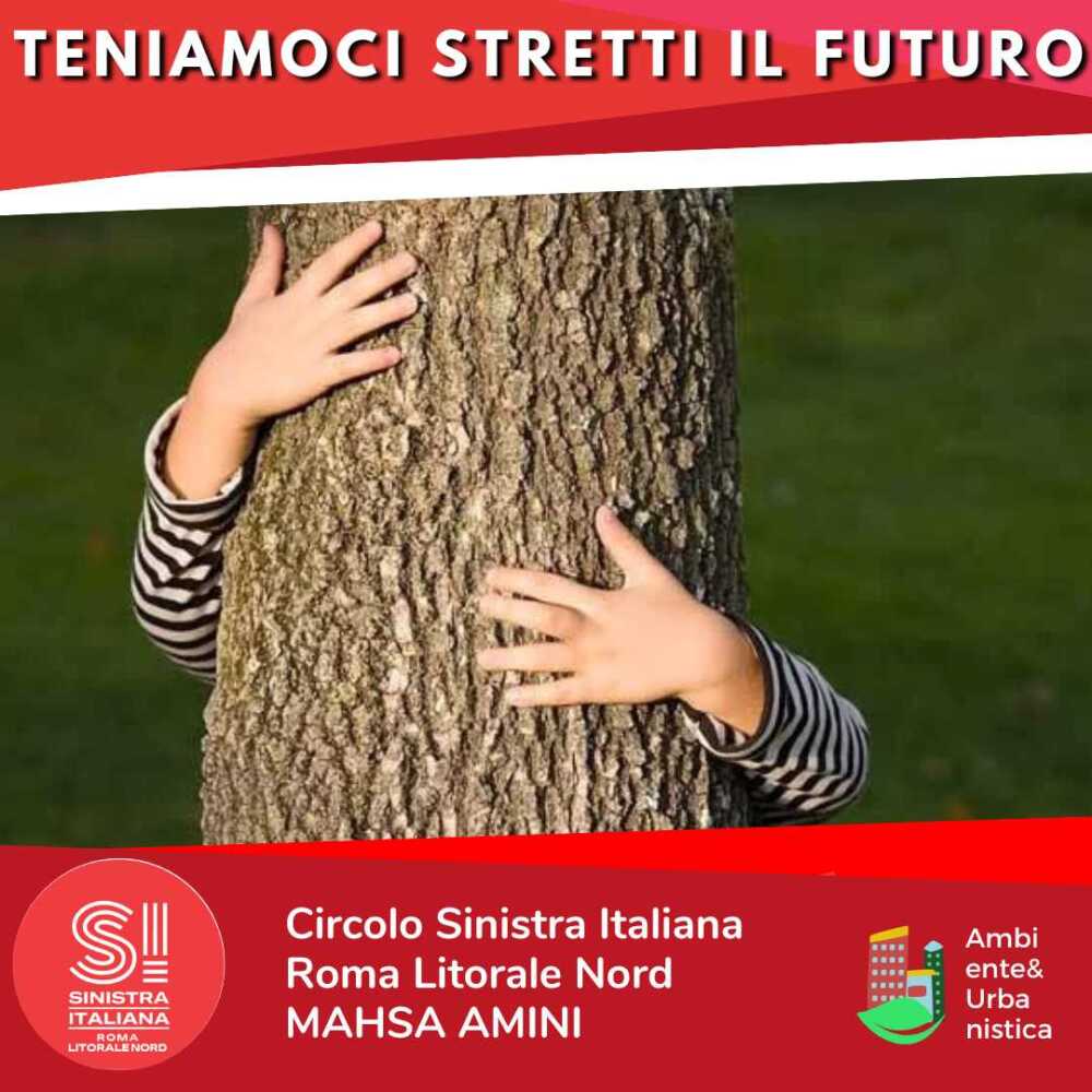 si ladispoli alberi futuro si ladispoli alberi futuro