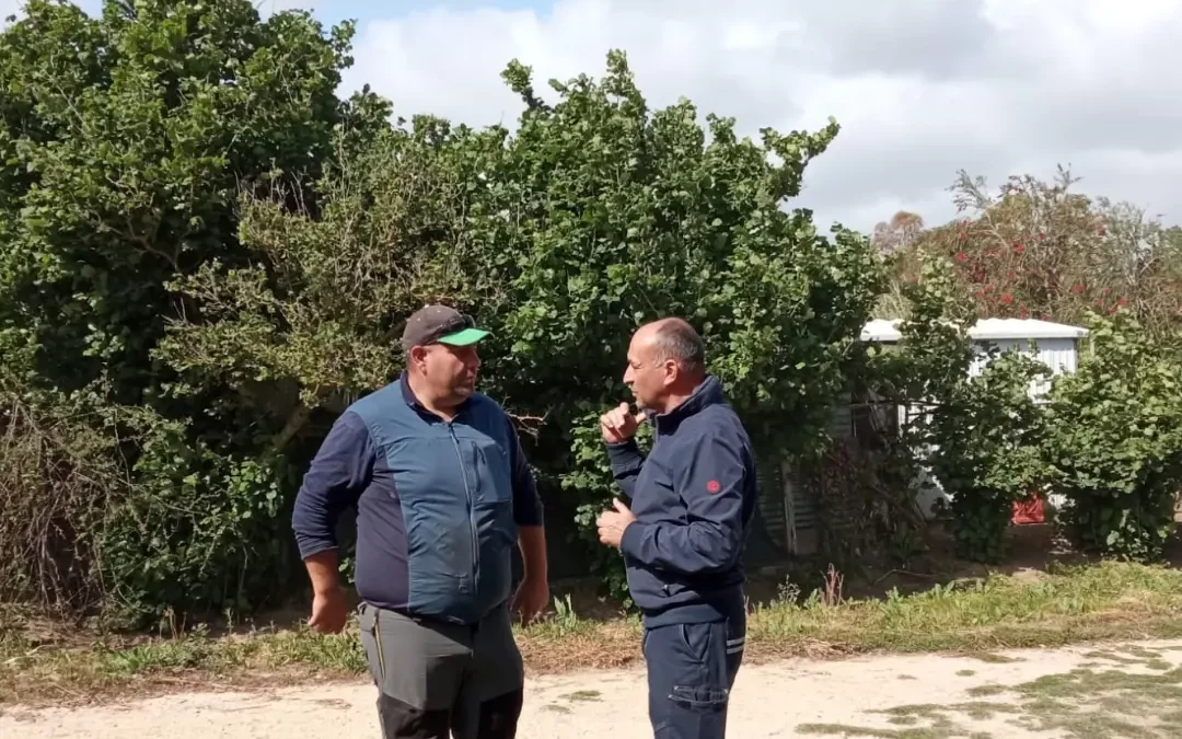 L’Uniagraria Tarquinia al lavoro su alcune strade degli orti di Voltone