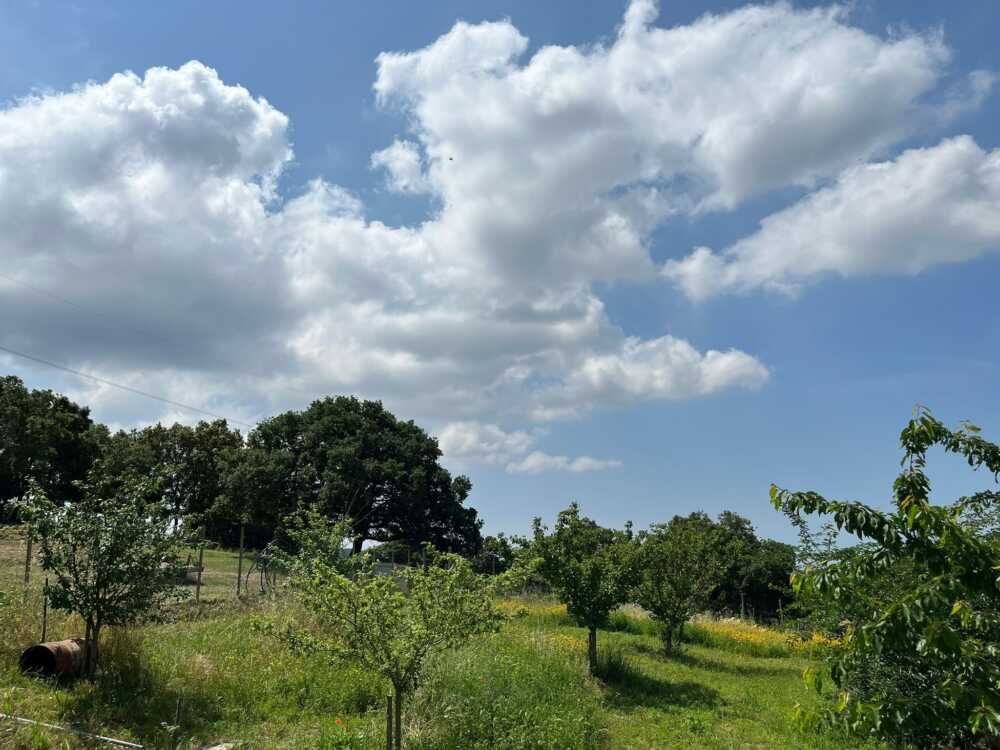 3Bee _ Oasi della Biodiversità _ Allumiere