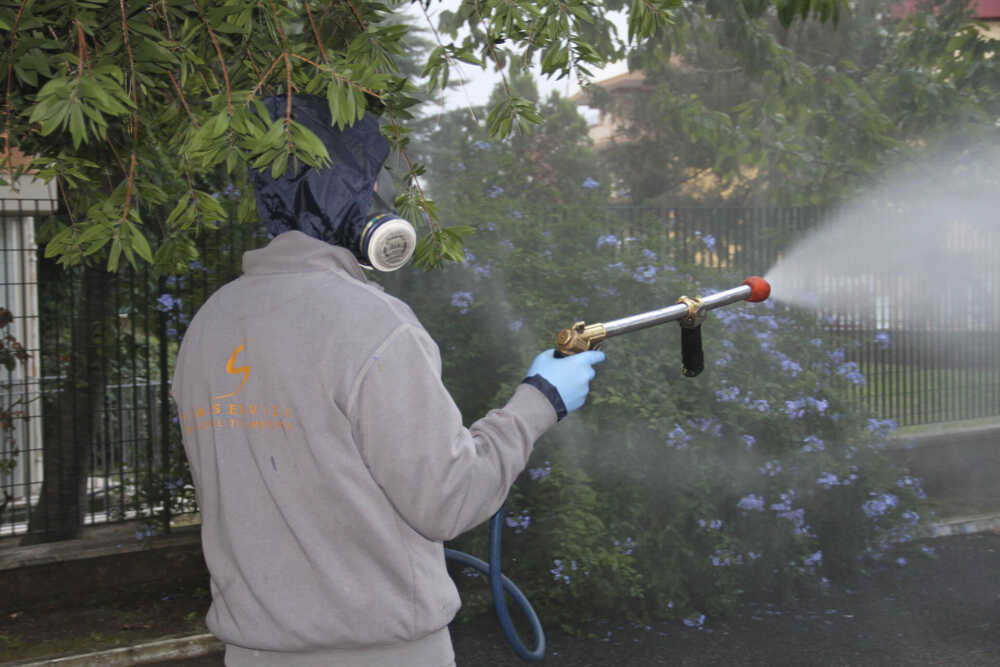 Disinfestazione zanzare 1 Disinfestazione zanzare