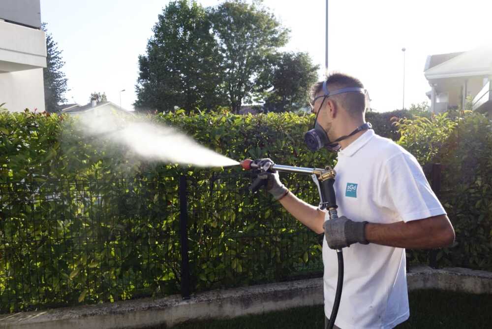 Disinfestazione zanzare