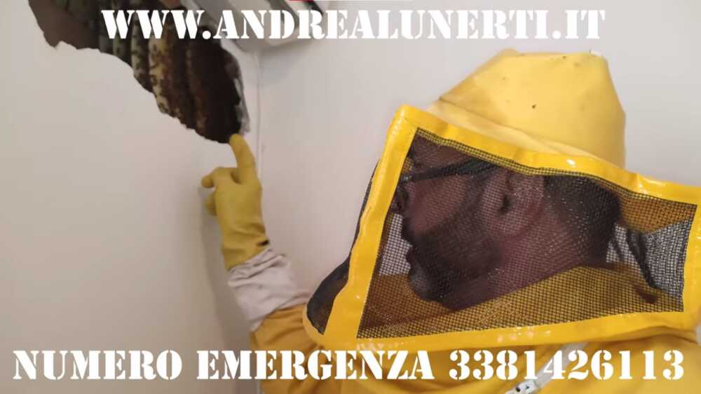 andrea lunerti api santa marinella