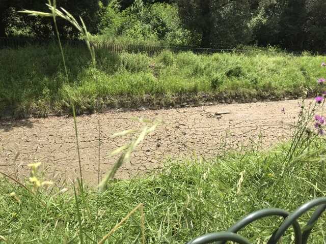 canale del lago villa pamphilj per siti canale del lago villa pamphilj roma