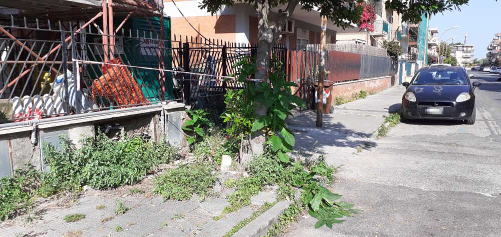 degrado ladispoli degrado ladispoli