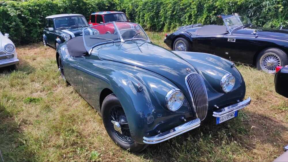 jaguar auto d'epoca bracciano