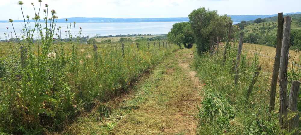 Iniziata la manutenzione dei sentieri del Parco Bracciano Martignano