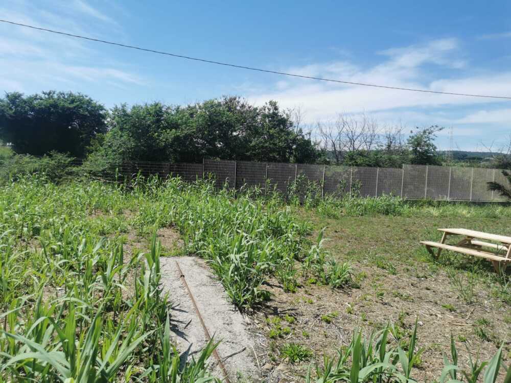 parco quartaccia santa marinella (3)