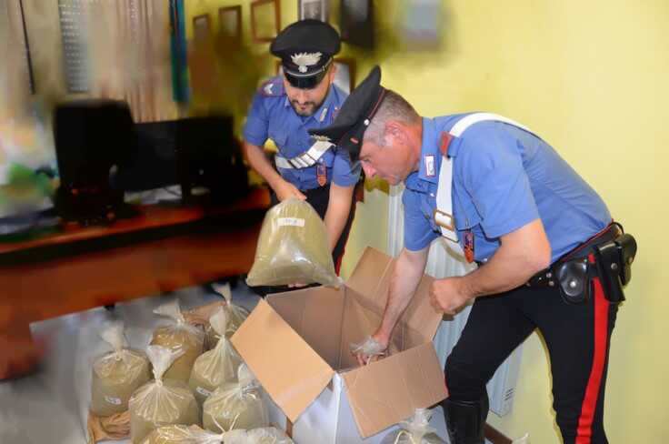 polline droga carabinieri montalto polline droga carabinieri montalto