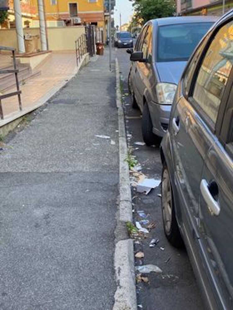 sporcizia ladispoli 1 sporcizia ladispoli