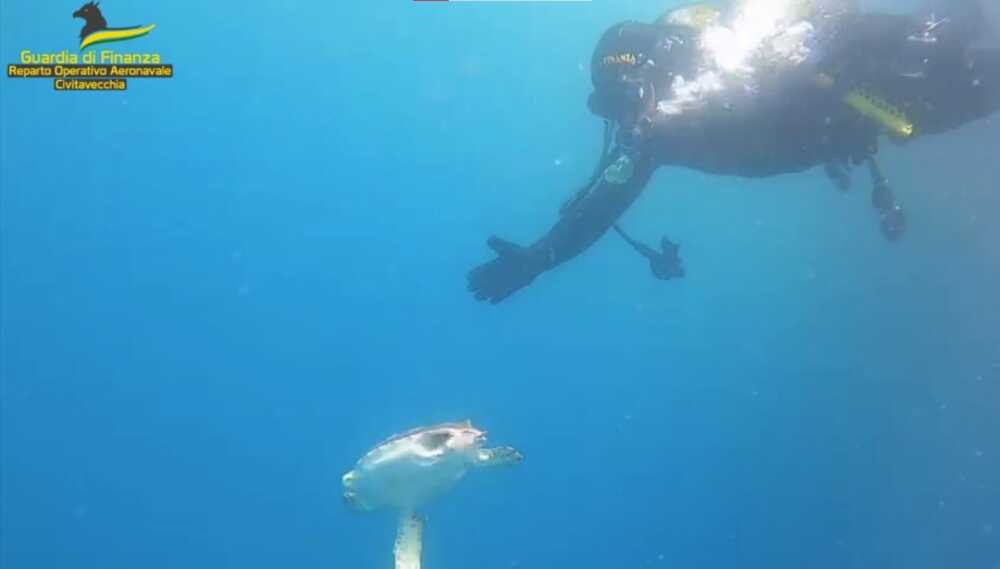 tartaruga guardia finanza