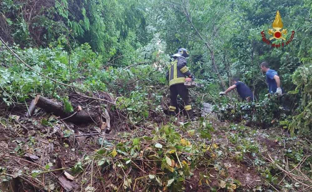 Cerca funghi ma si perde nelle macchie di Allumiere: romano rintracciato dai pompieri