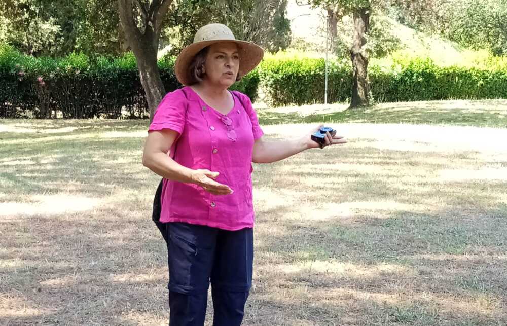 Gea Copponi Gea Copponi