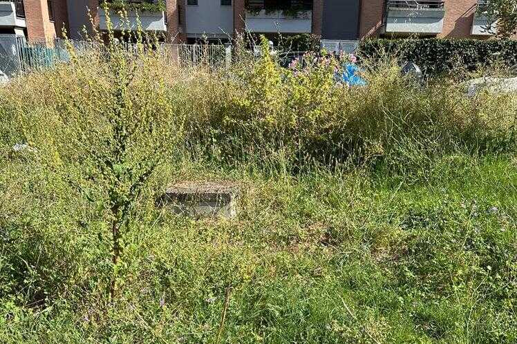 selva candida via nosate