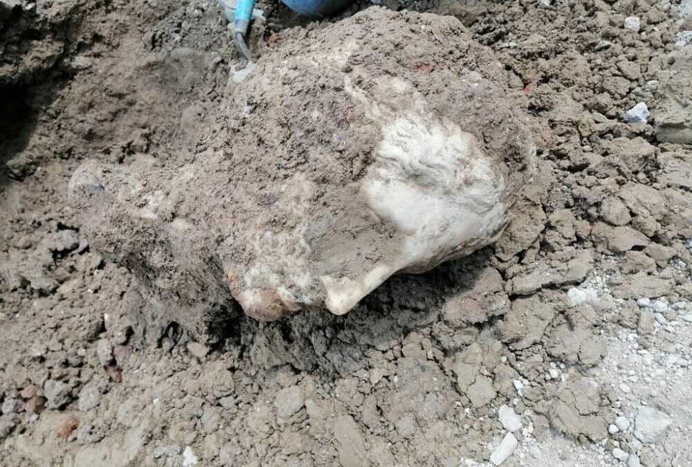 Disegno Di Una Statua Di Leone Generato Dall'ai Illustrazione Di Stock