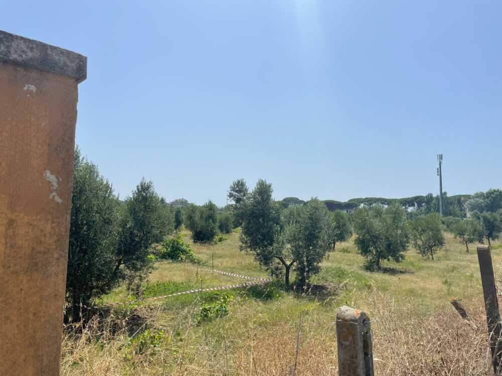 antenna telefonia olmetto