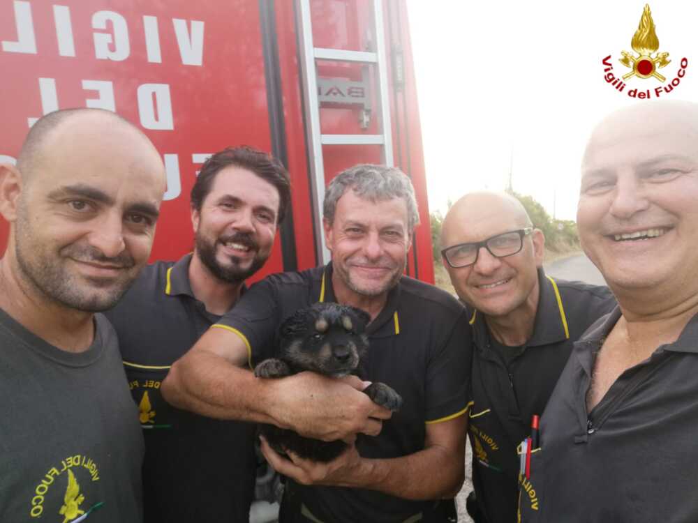 cagnetto salvato vvf vigili fuoco pompieri civitavecchia 2