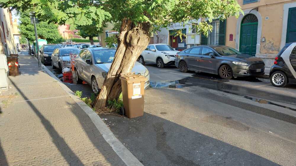 fogna cielo aperto duca abruzzi ladispoli (1)