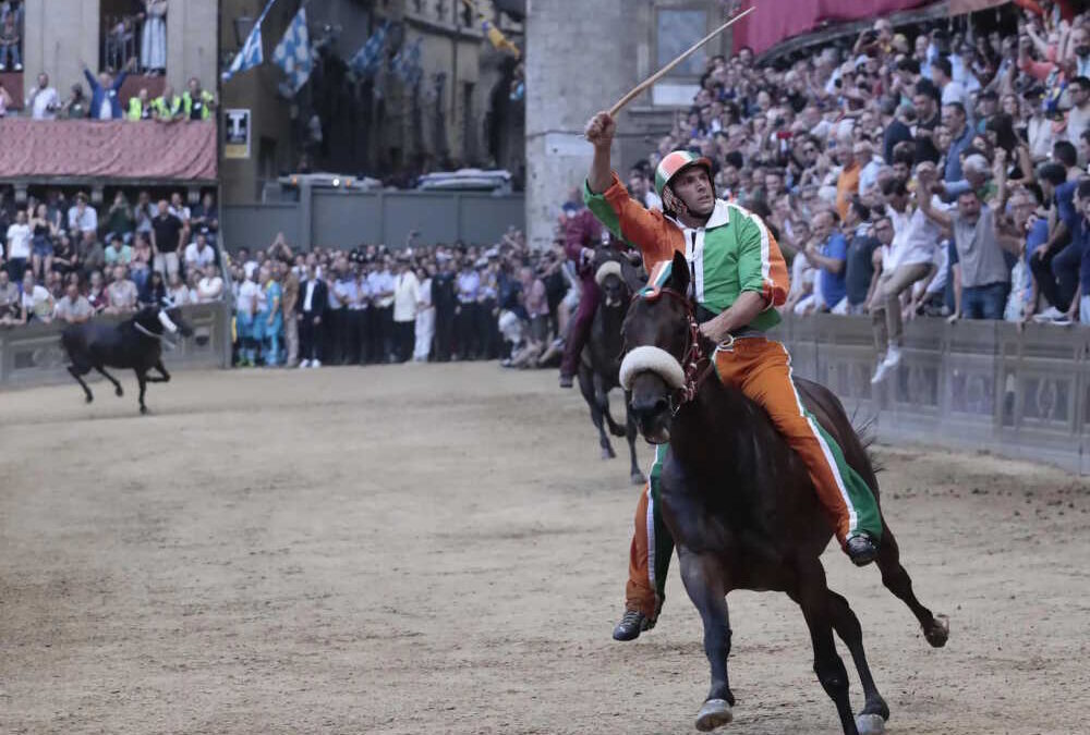 Violenta da Clodia, la cavalla imbattibile del Palio di Siena, è di una scuderia di Anguillara