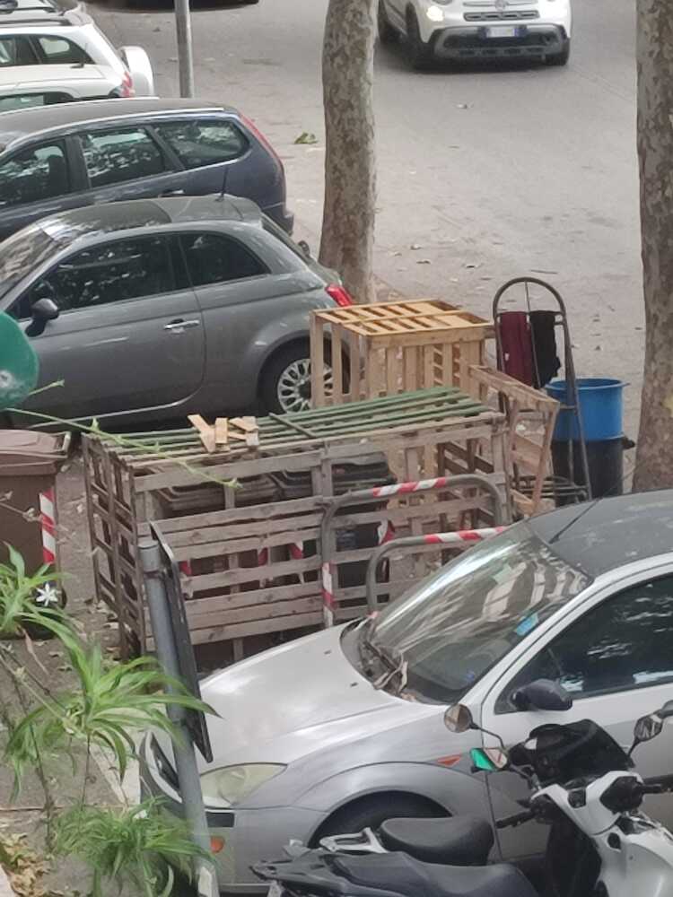 parcheggi occupati viale baccelli civitavecchia parcheggi occupati viale baccelli civitavecchia