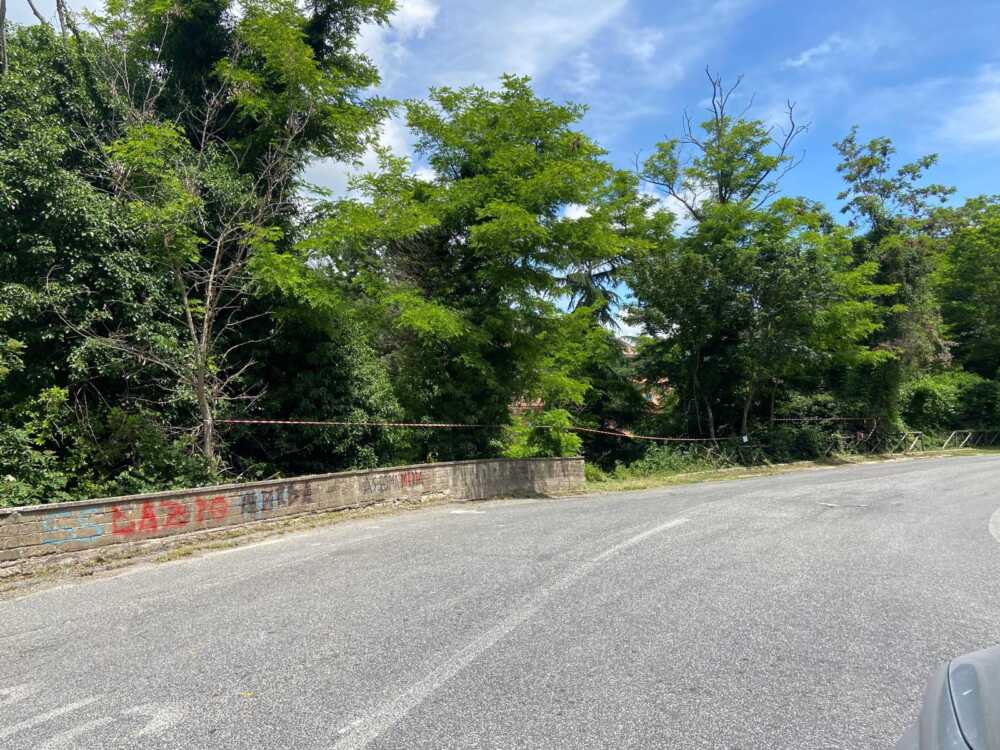 strada provinciale allumiere strada allumiere