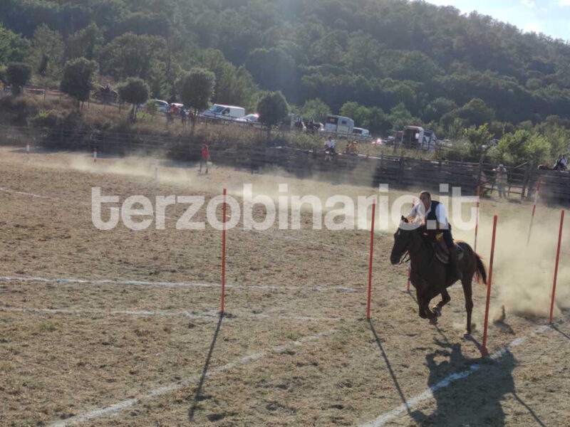 torneo butteri 2023 gioco anello