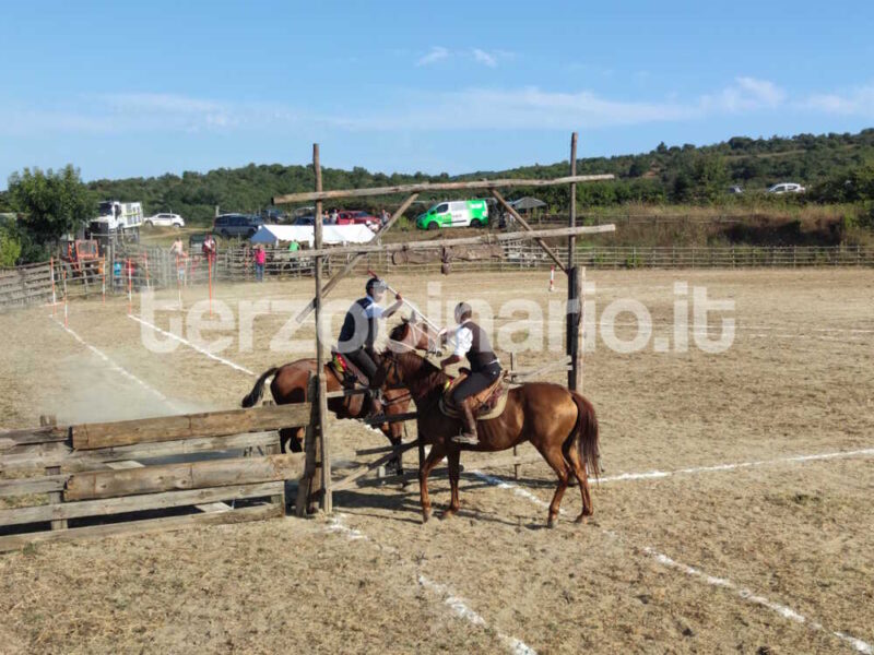 torneo butteri tolfa staccionata
